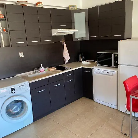 The Modern In The Ancient *