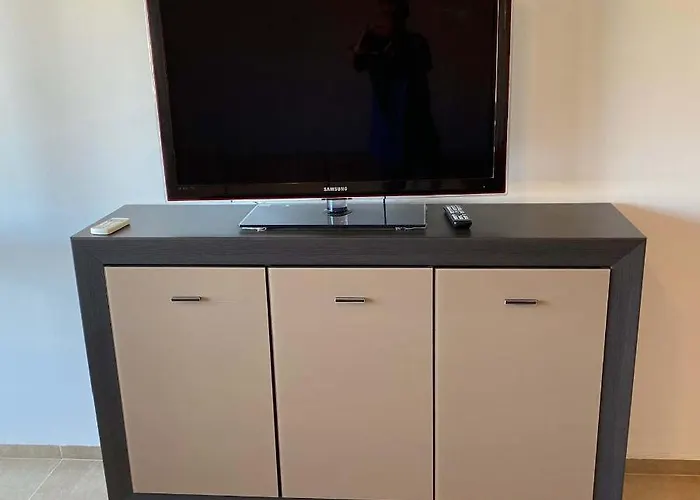 The Modern In The Ancient *